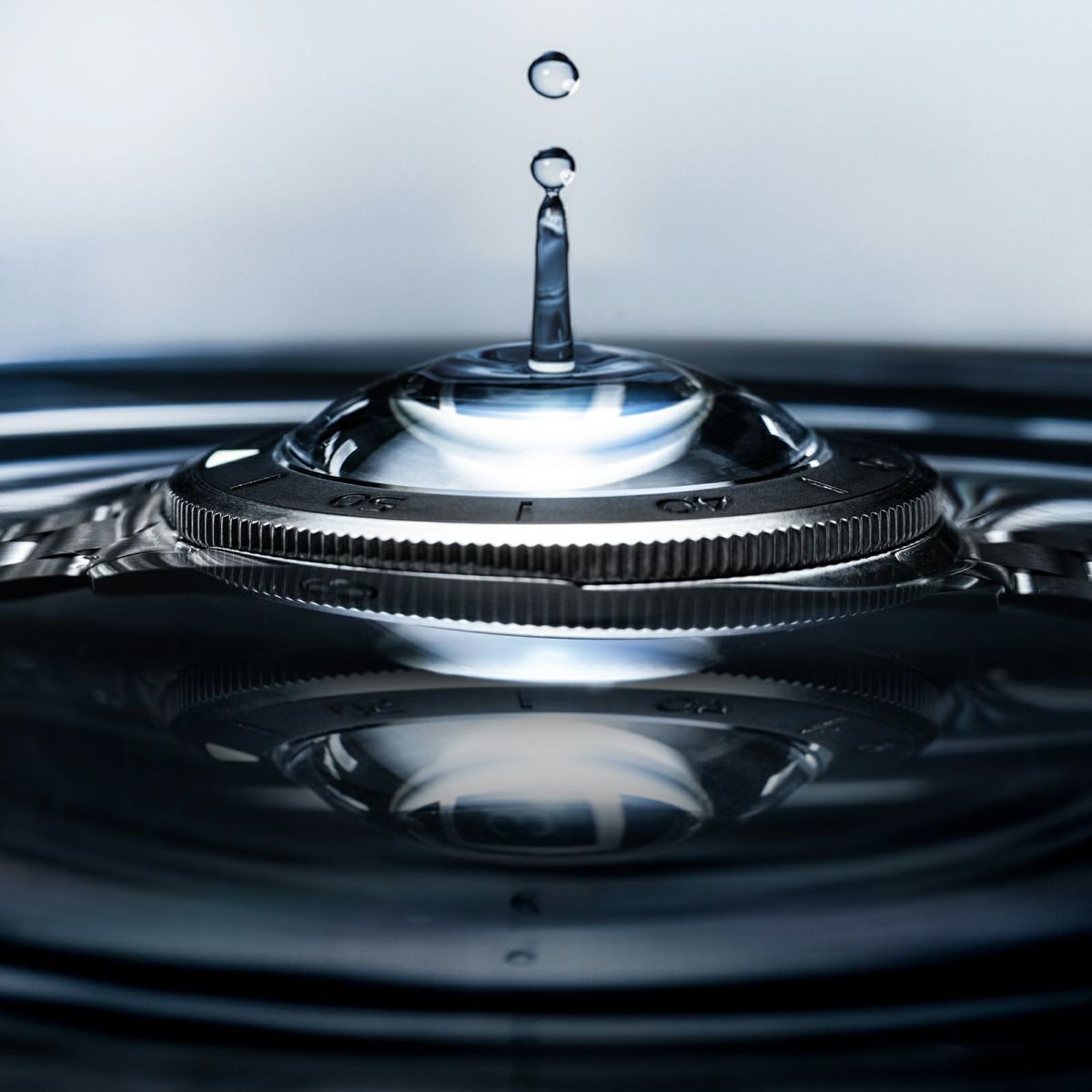 SPINNAKER  PICCARD スピニカー ピカール  / SP-5098-22