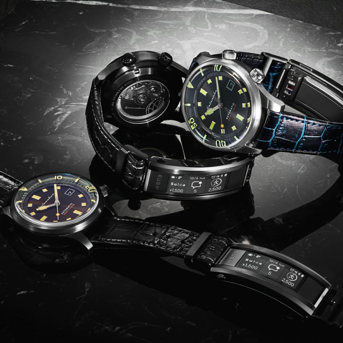 SPINNAKER  BRADNER×wena3 スピニカー ブラッドナー ウェナ 3  / SP-5062-WN-04