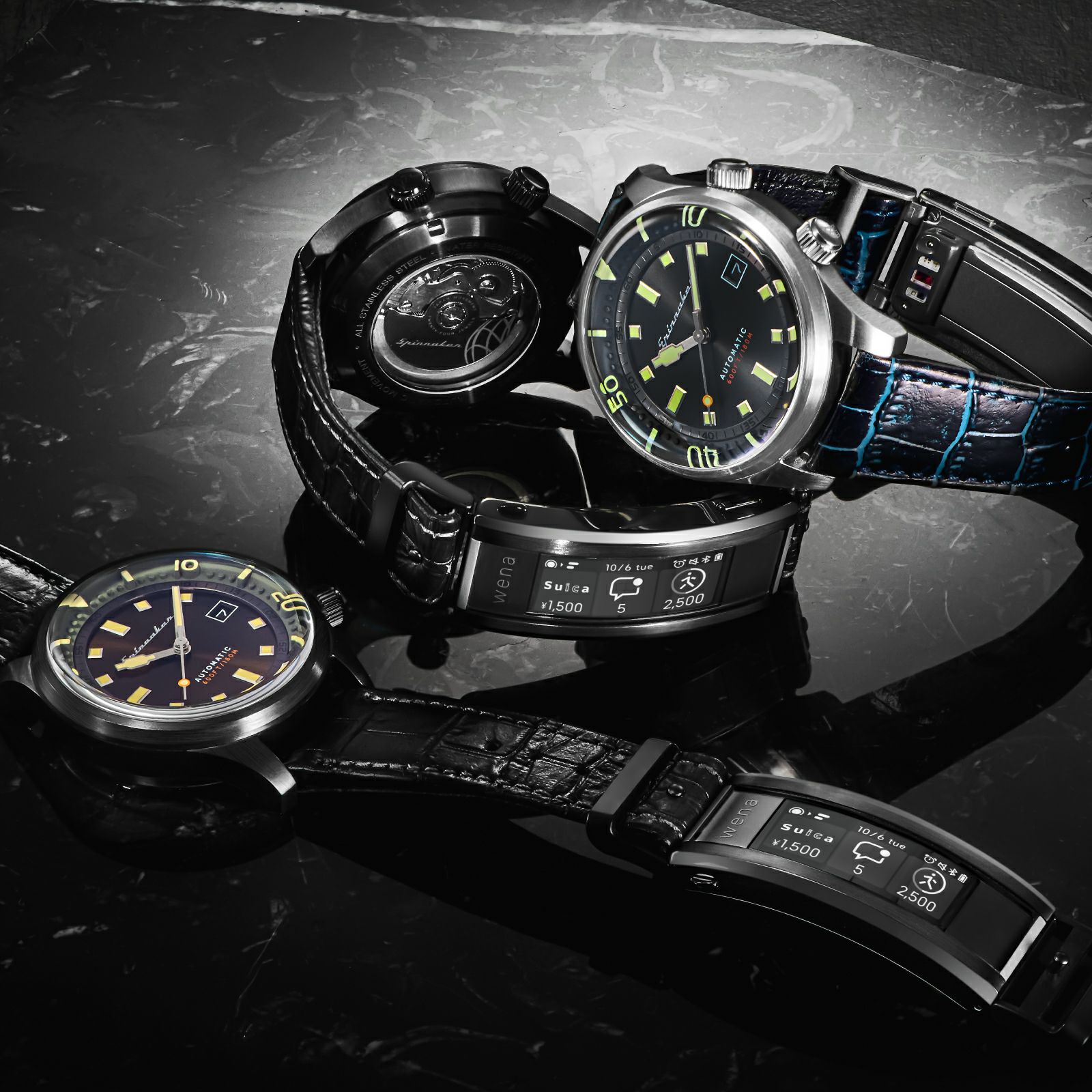 SPINNAKER  BRADNER×wena3 スピニカー ブラッドナー ウェナ 3  / SP-5062-WN-05