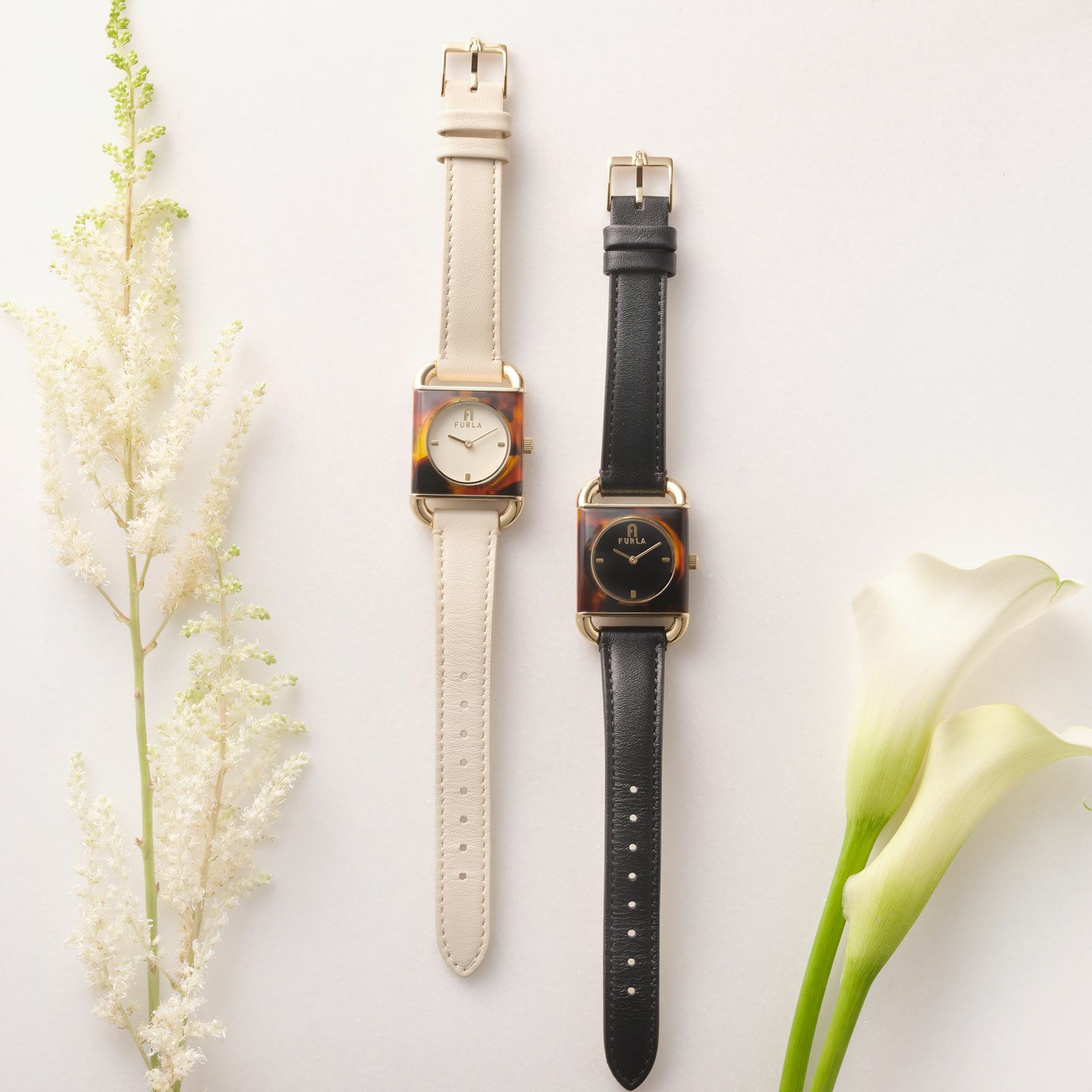 FURLA  FURLA ARCO HAVANA フルラ フルラアルコハバナ  / WW00017009L2