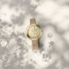 FURLA  FURLA COSY SMALL SECONDS フルラ フルラコジ―スモールセコンド  / WW00013003L2