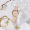 FURLA  FURLA EASY SHAPE フルラ フルライージーシェイプ  / WW00024013L3