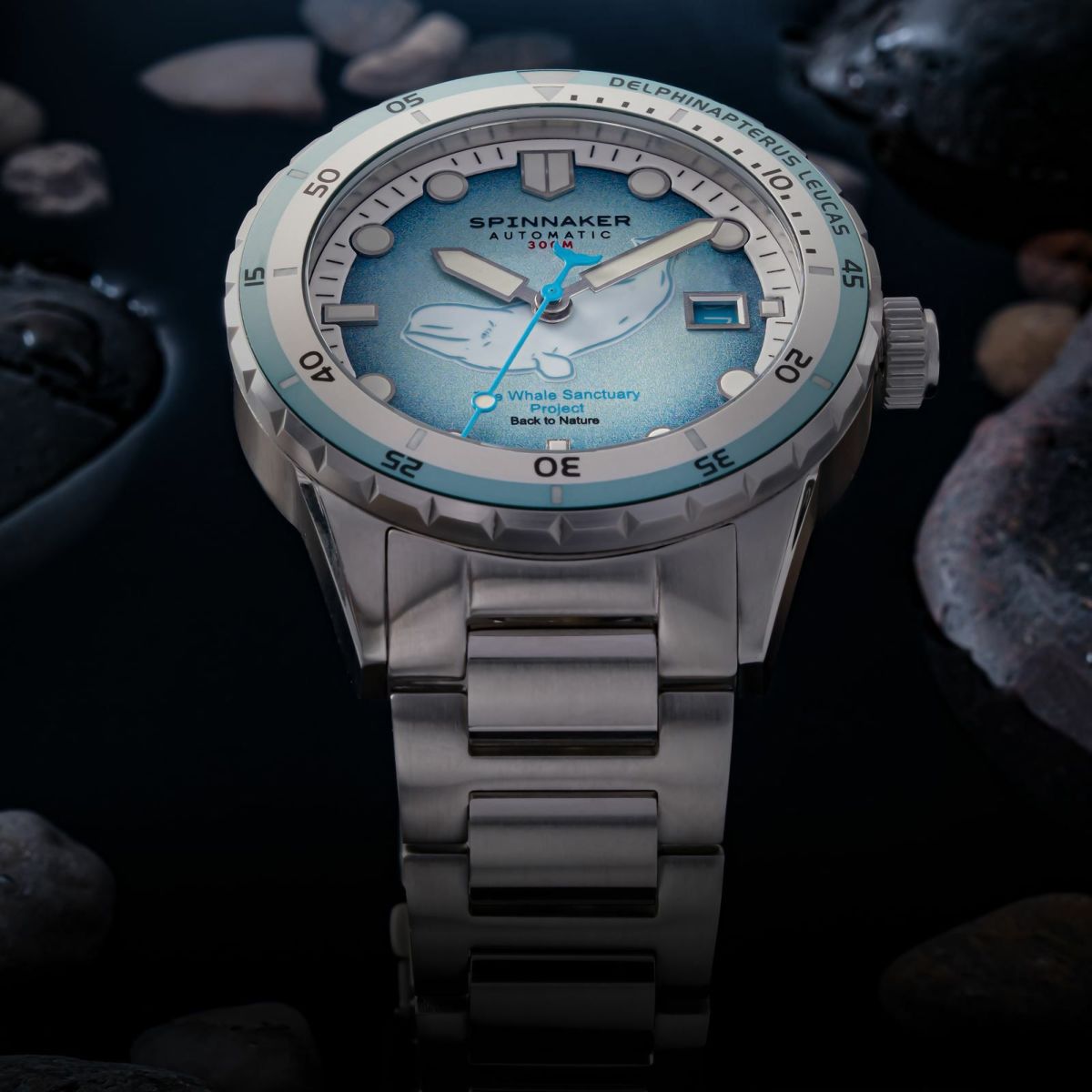 SPINNAKER  HASS AUTOMATIC スピニカー ハス オートマティック<br>ホエール サンクチュアリ プロジェクト リミテッド エディション  / SP-5128-11