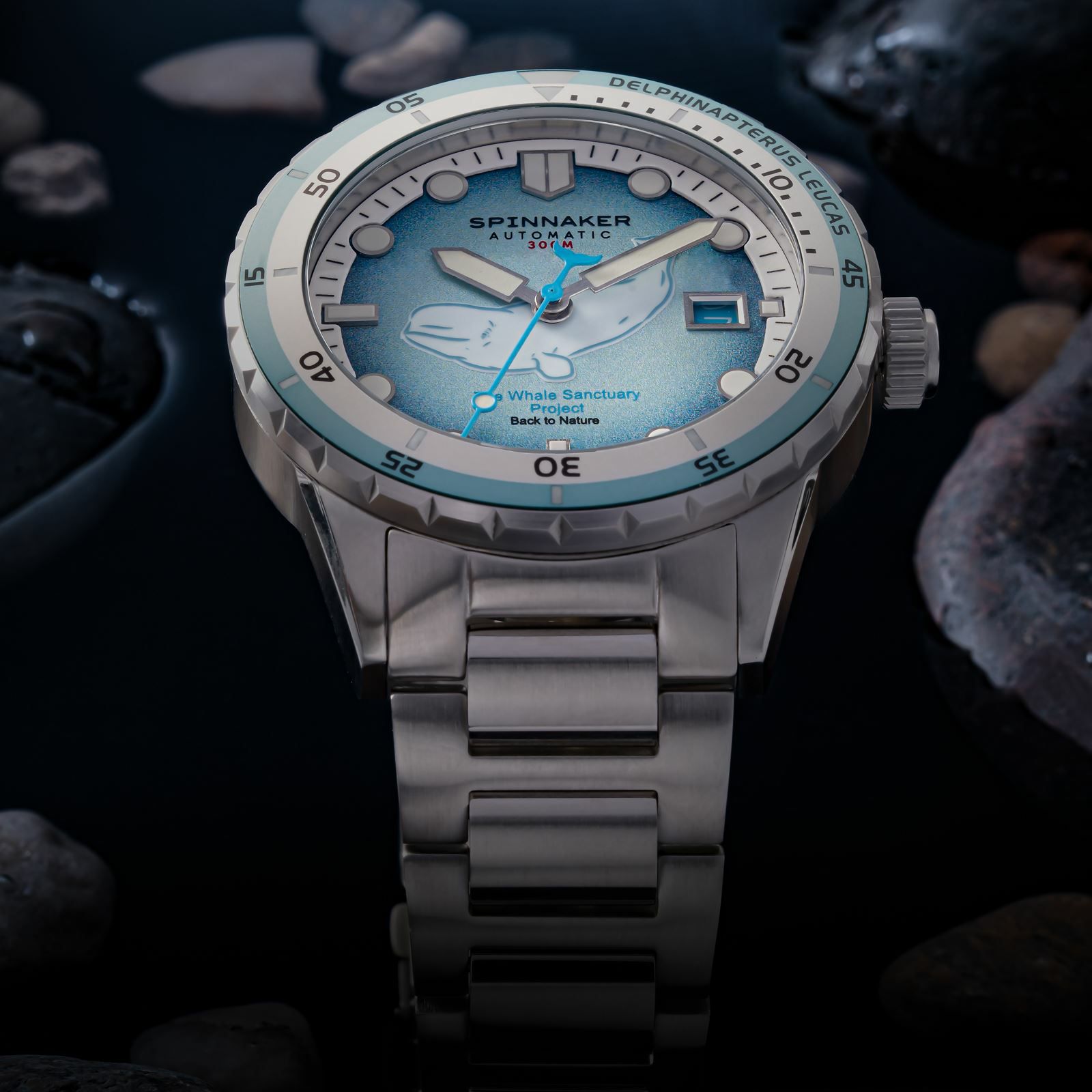 SPINNAKER  HASS AUTOMATIC スピニカー ハス オートマティック<br>ホエール サンクチュアリ プロジェクト リミテッド エディション  / SP-5128-11