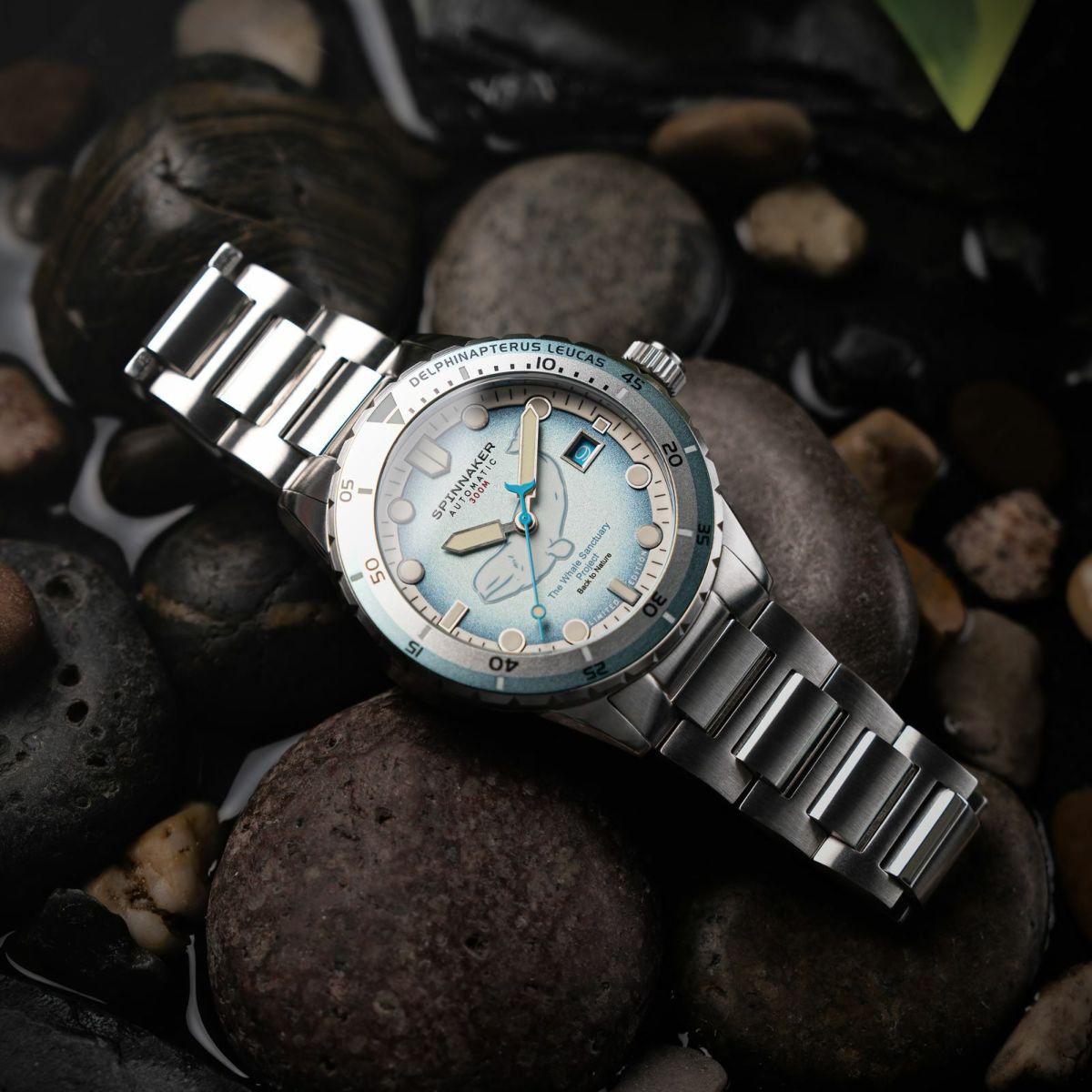 SPINNAKER  HASS AUTOMATIC スピニカー ハス オートマティック<br>ホエール サンクチュアリ プロジェクト リミテッド エディション  / SP-5128-11