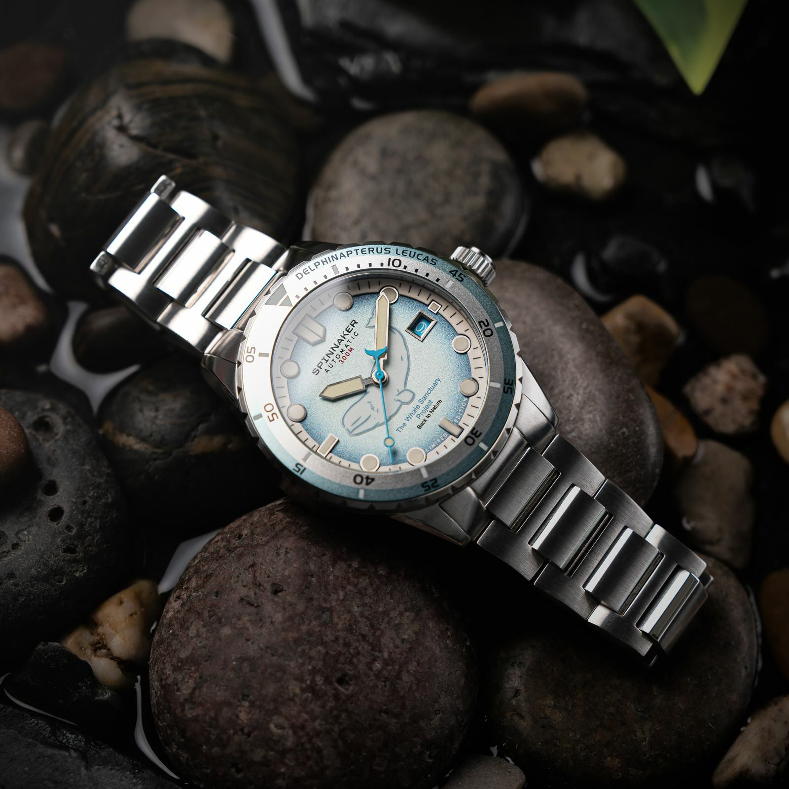 SPINNAKER  HASS AUTOMATIC スピニカー ハス オートマティック<br>ホエール サンクチュアリ プロジェクト リミテッド エディション  / SP-5128-11