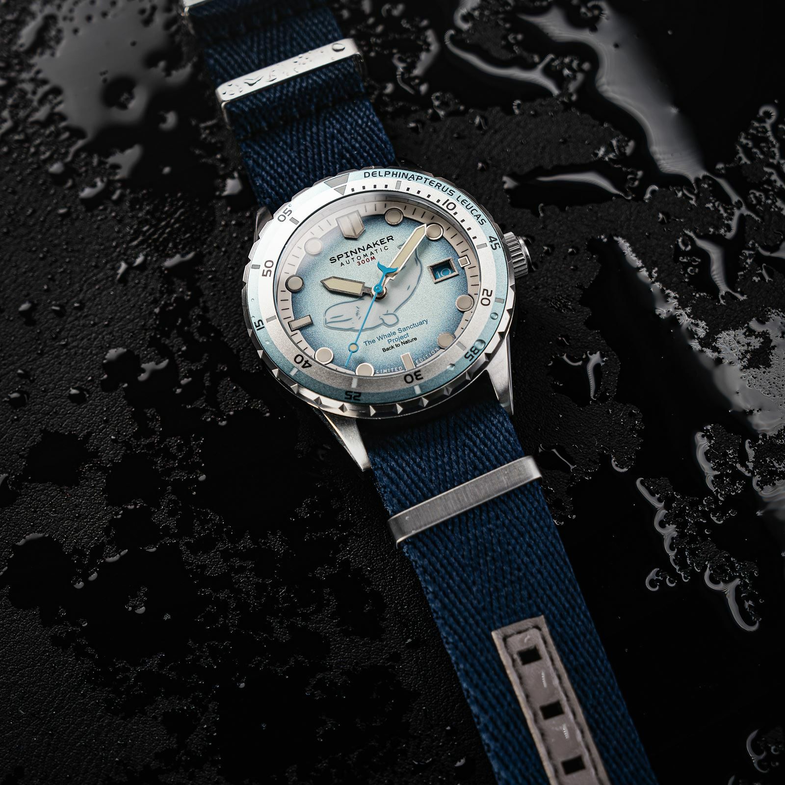 SPINNAKER  HASS AUTOMATIC スピニカー ハス オートマティック<br>ホエール サンクチュアリ プロジェクト リミテッド エディション  / SP-5128-11