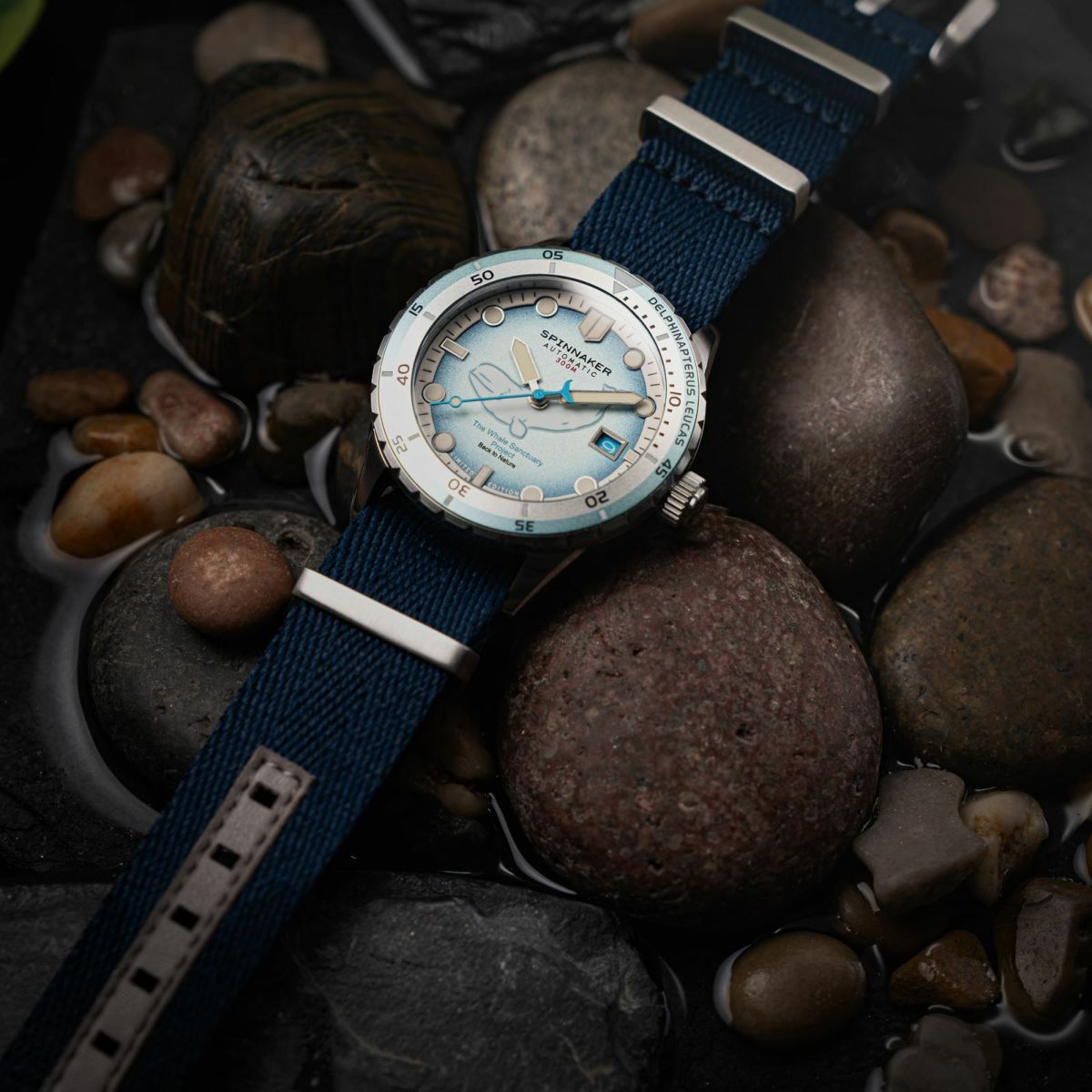 SPINNAKER  HASS AUTOMATIC スピニカー ハス オートマティック<br>ホエール サンクチュアリ プロジェクト リミテッド エディション  / SP-5128-11