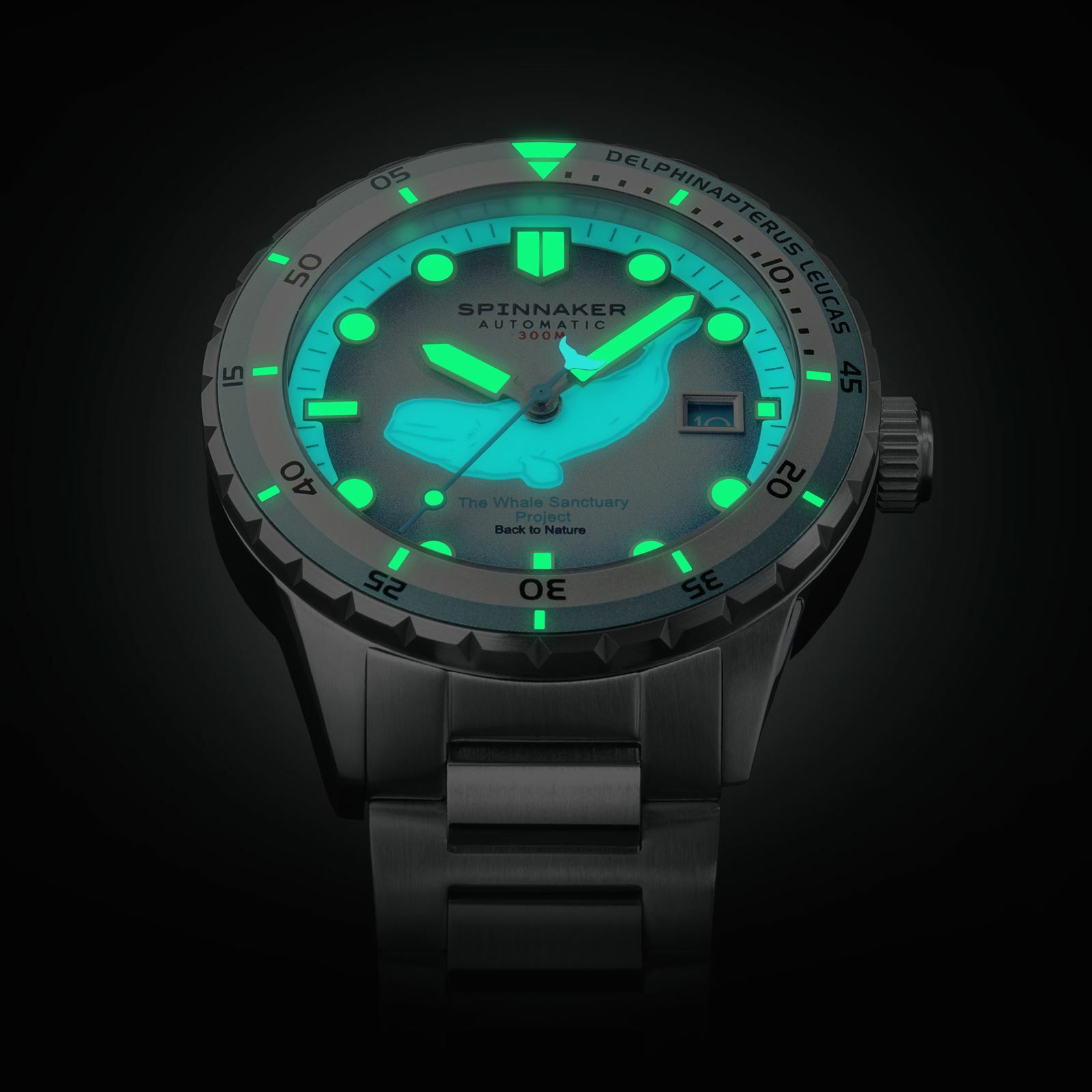 SPINNAKER  HASS AUTOMATIC スピニカー ハス オートマティック<br>ホエール サンクチュアリ プロジェクト リミテッド エディション  / SP-5128-11