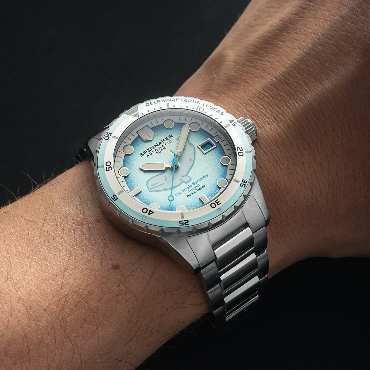 SPINNAKER  HASS AUTOMATIC スピニカー ハス オートマティック<br>ホエール サンクチュアリ プロジェクト リミテッド エディション  / SP-5128-11