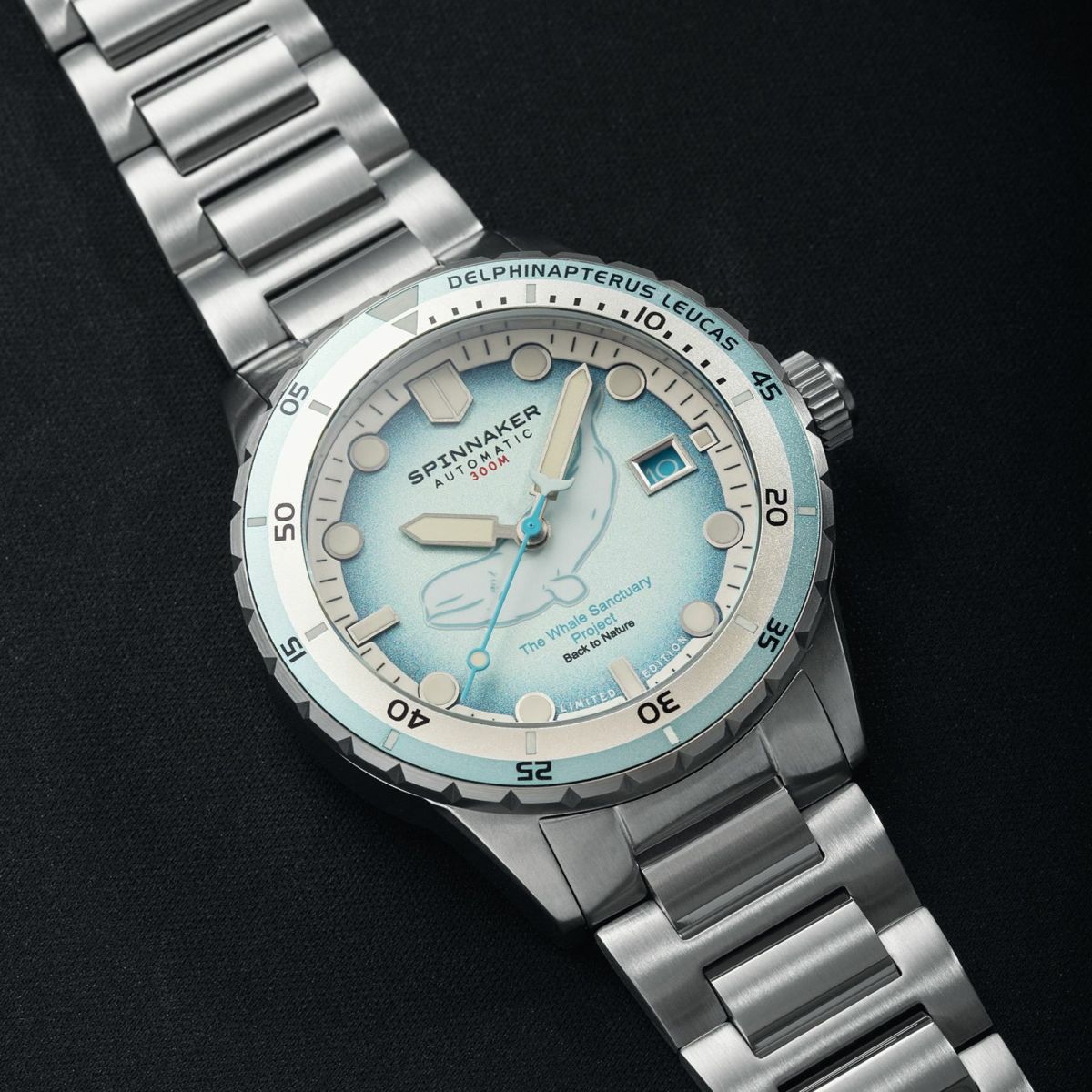 SPINNAKER  HASS AUTOMATIC スピニカー ハス オートマティック<br>ホエール サンクチュアリ プロジェクト リミテッド エディション  / SP-5128-11