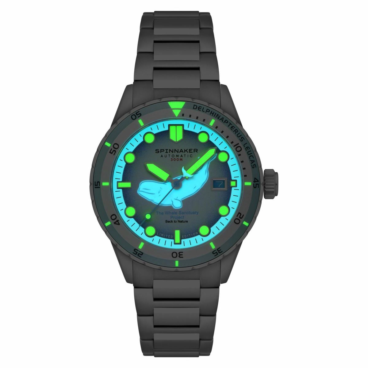 SPINNAKER  HASS AUTOMATIC スピニカー ハス オートマティック<br>ホエール サンクチュアリ プロジェクト リミテッド エディション  / SP-5128-11