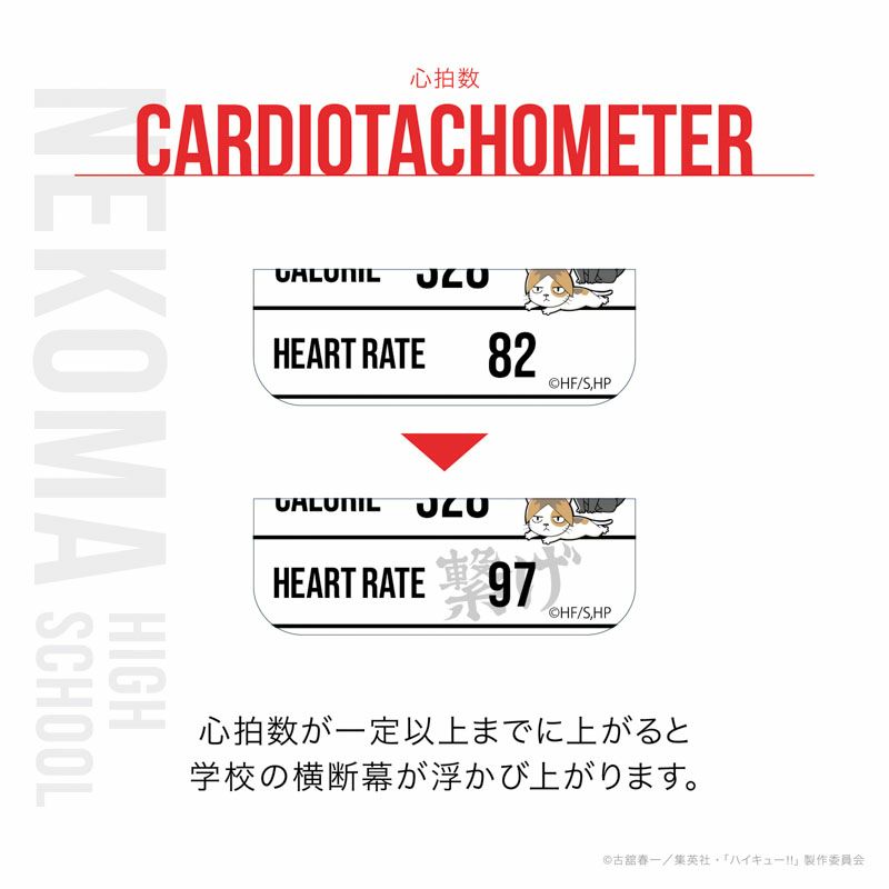 GARRACK ハイキュー!! ギャラック ハイキュー!! 音駒高校モデル / HUC-HK-BD10-N